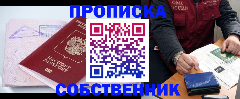 временная регистрация поиск в Заинске